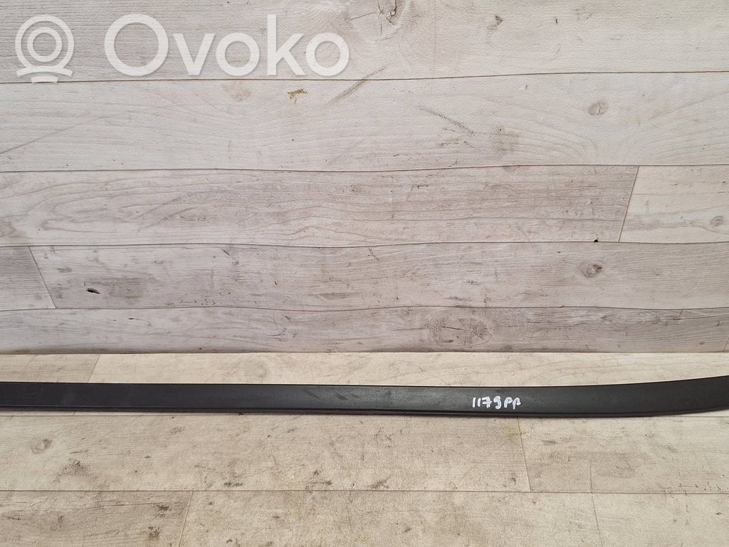 Ford Focus Windshield trim 