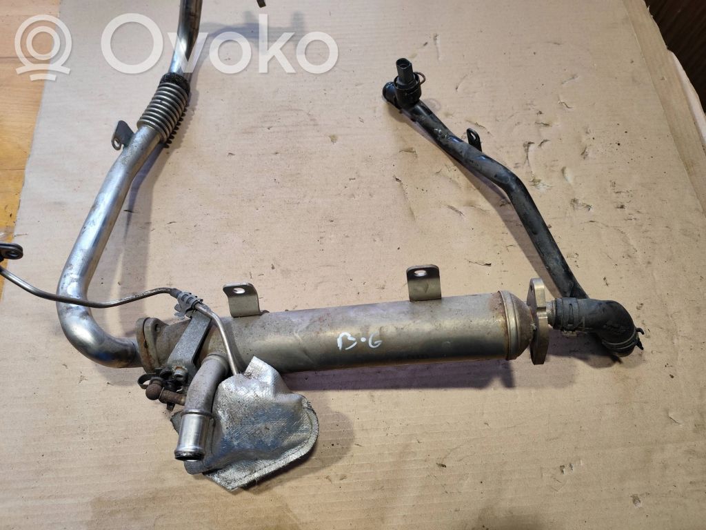 Volkswagen PASSAT B6 Chłodnica spalin EGR 