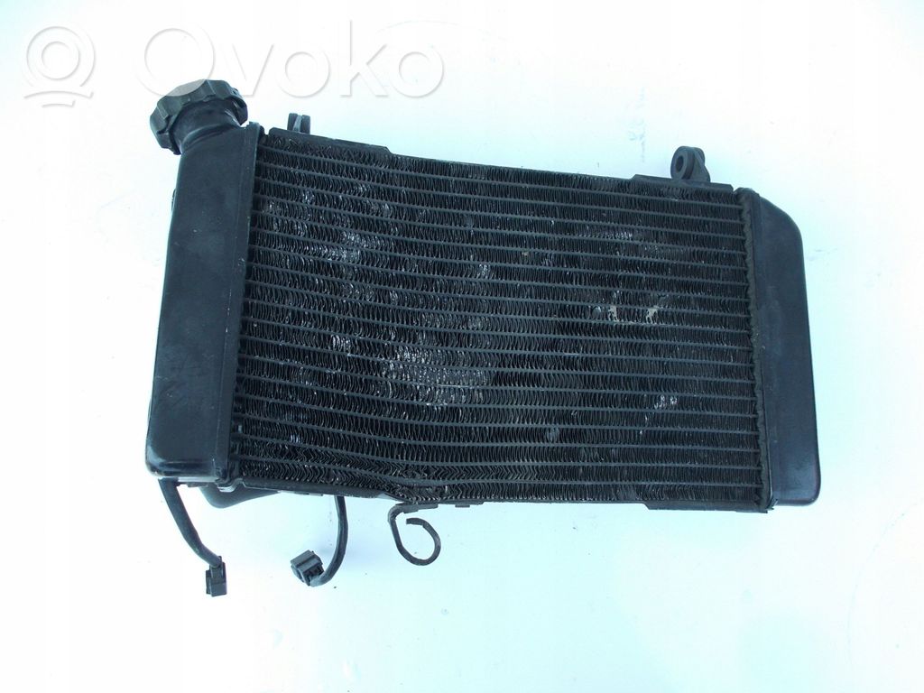Radiator set   SV650