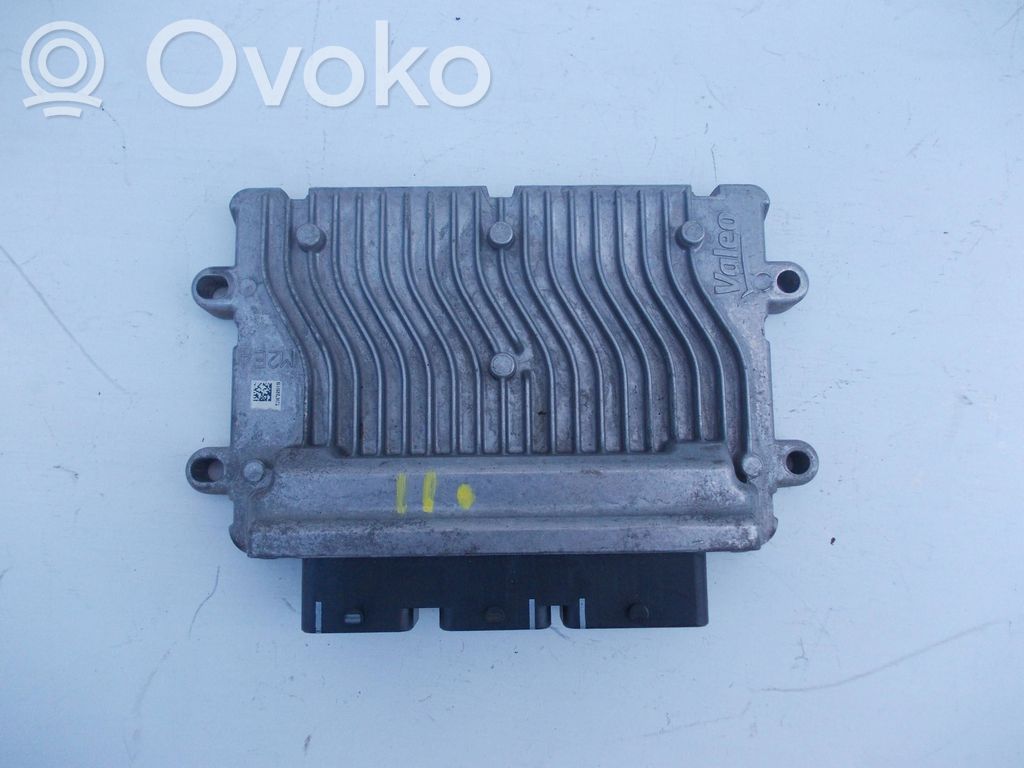 Peugeot 207 CC Engine control unit/module 