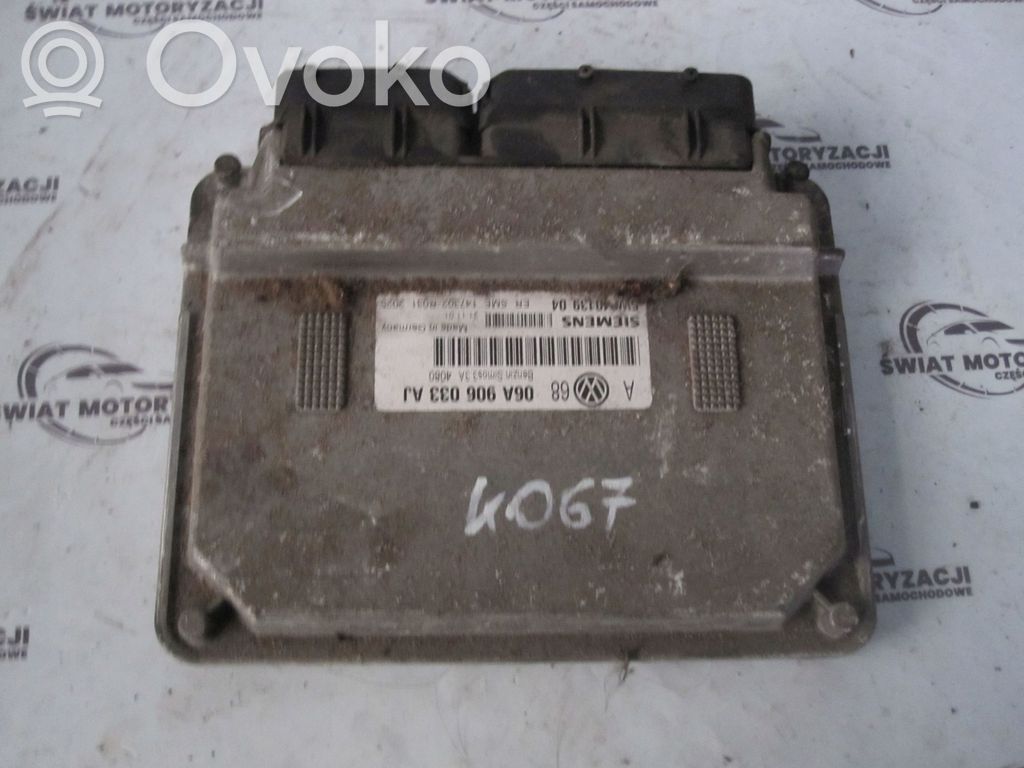 Volkswagen Golf IV Engine control unit/module 