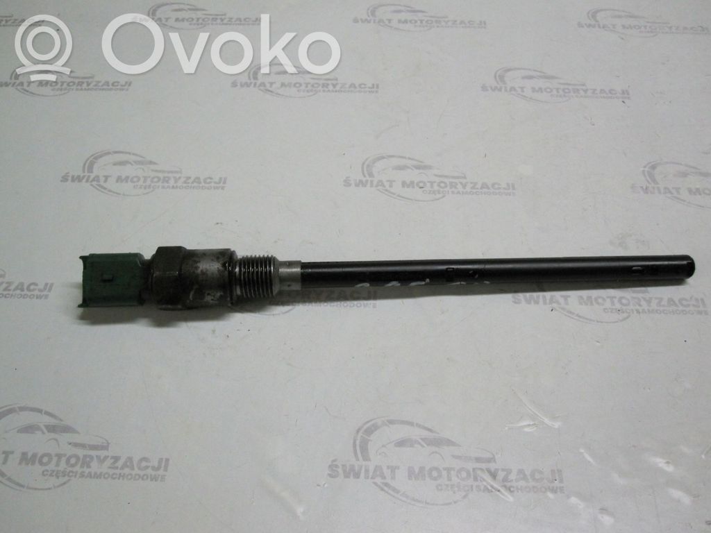 Citroen DS3 Oil level sensor 