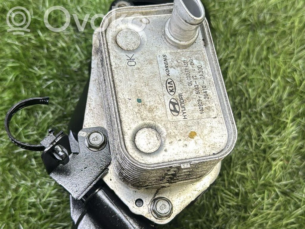 Hyundai ix35 Oil filter mounting bracket 