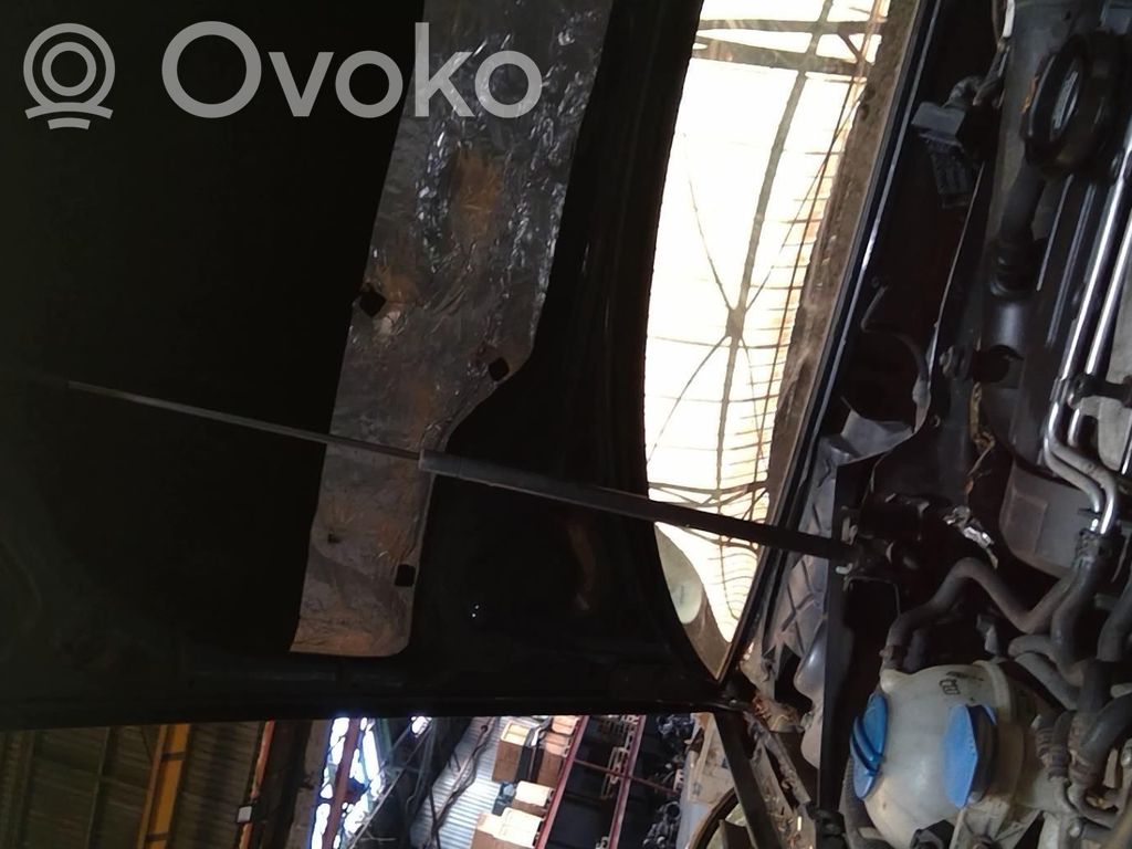 Audi A3 S3 A3 Sportback 8P Siłownik maski przedniej 