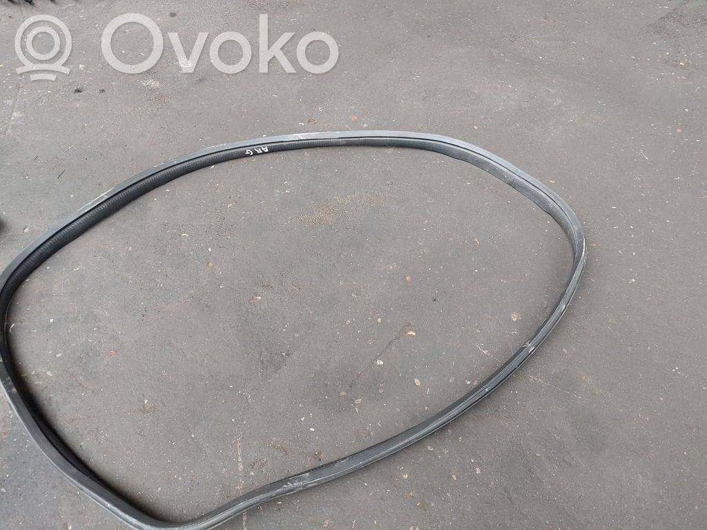 Gumowa uszczelka drzwi tylnych / na karoserii   B000820480