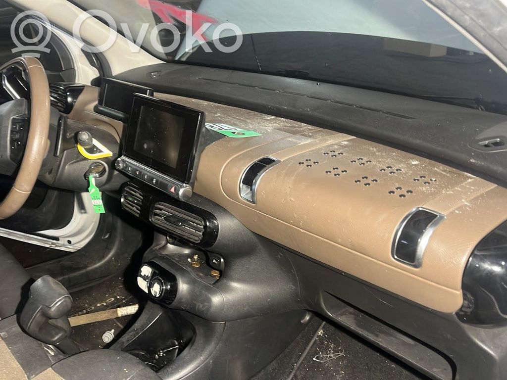 Citroen C4 Cactus Panelis 