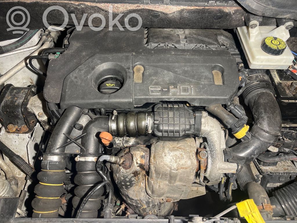 Citroen Berlingo Motore 