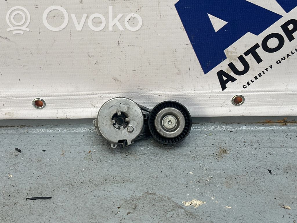 Napinacz paska wielorowkowego / Alternatora   06H903133F