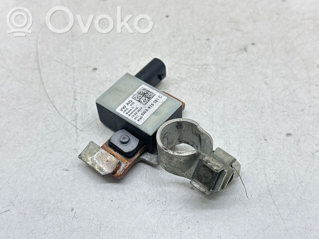 Ford Transit -  Tourneo Connect Cable negativo de tierra (batería) 
