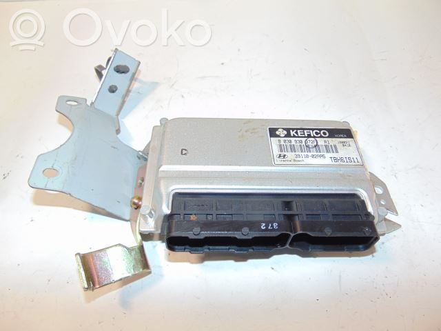Hyundai Getz Engine control unit/module 