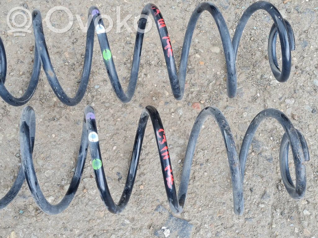 Muelle espiral trasero