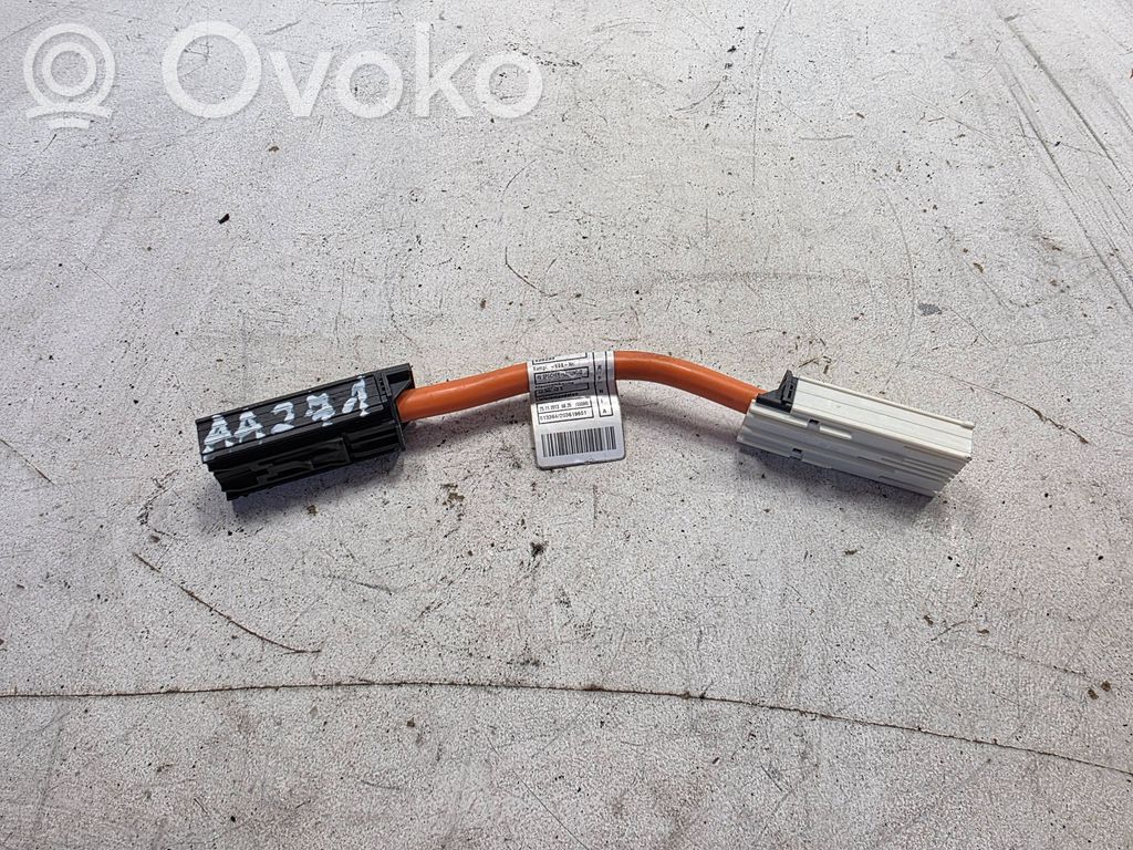 BMW i3 Otras unidades de control/módulos 