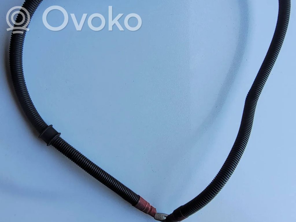 Positive cable (battery)   7786861,10299011