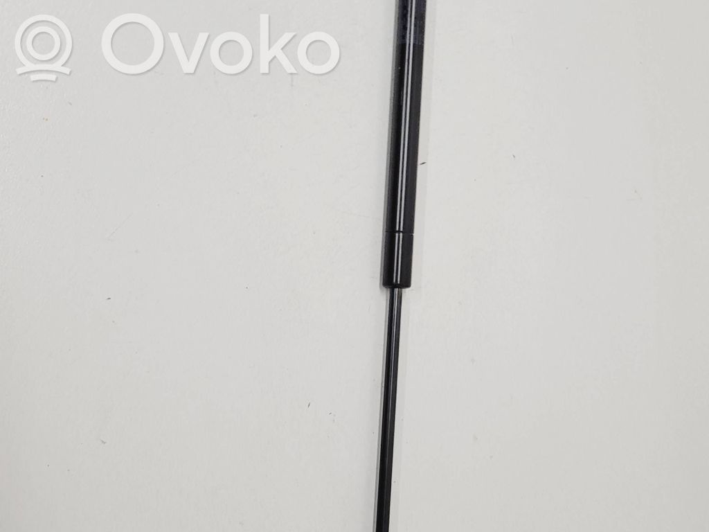 Tailgate strut   340353