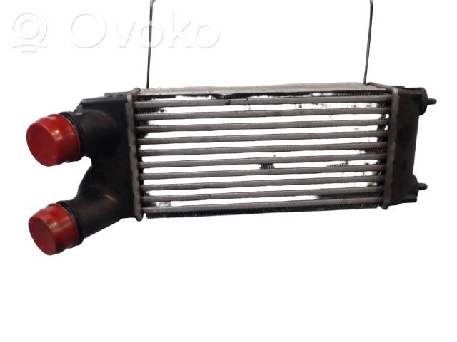 Citroen Berlingo Radiatore intercooler 