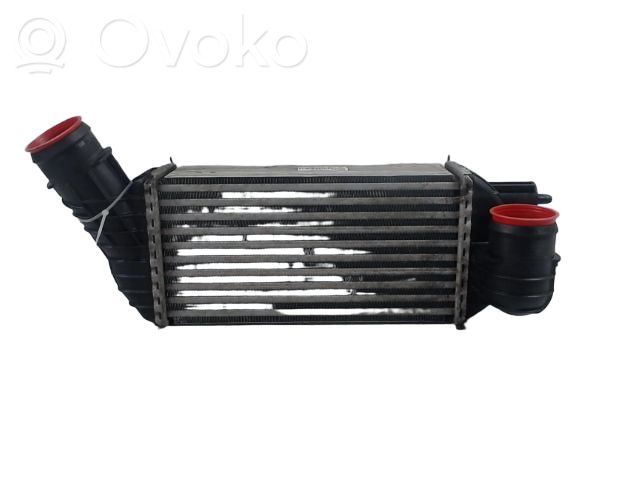 Peugeot 3008 I Intercooler radiator 