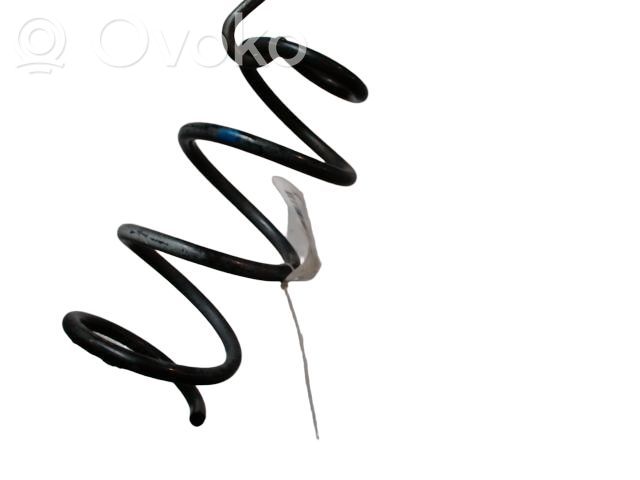 Rear coil spring   550203VU0A,550203VU0A,RA5276