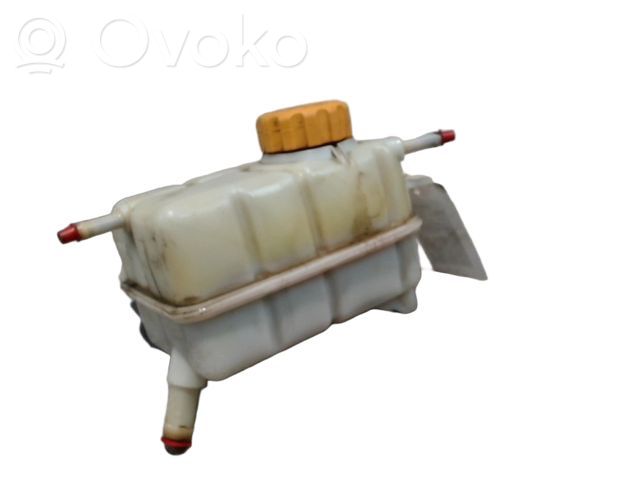 Chevrolet Aveo Aušinimo skysčio išsiplėtimo bakelis 
