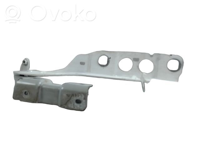 Citroen C4 II Dzinēja pārsega eņģe (-es) 