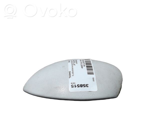 Peugeot 206+ Obudowa lusterka zewnętrznego drzwi przednich 