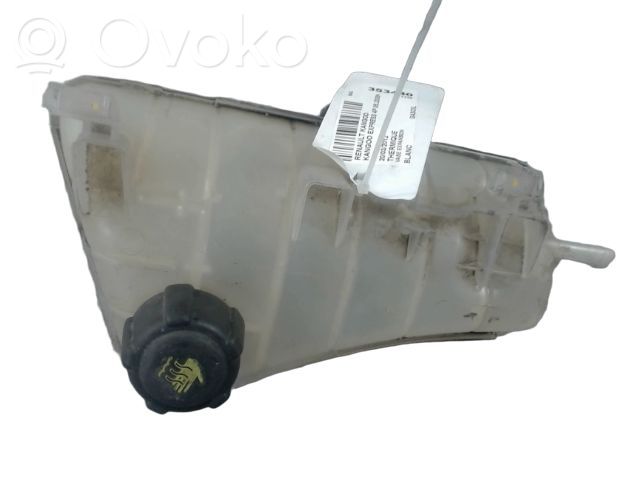 Renault Kangoo II Zbiornik wyrównawczy chłodziwa 