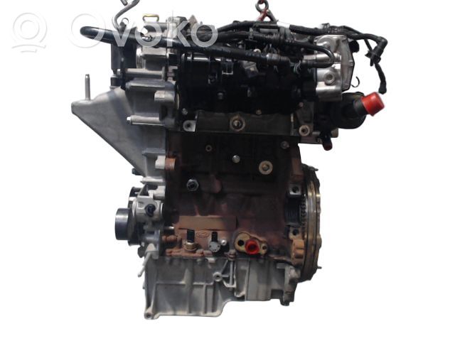 Ford Transit -  Tourneo Connect Engine 