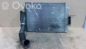 Interkūlerio radiatorius   C2Z31092