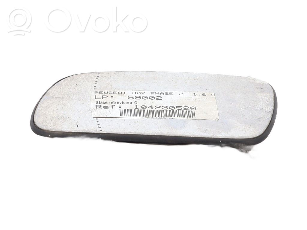 Peugeot 307 Elektryczne lusterko boczne drzwi przednich 