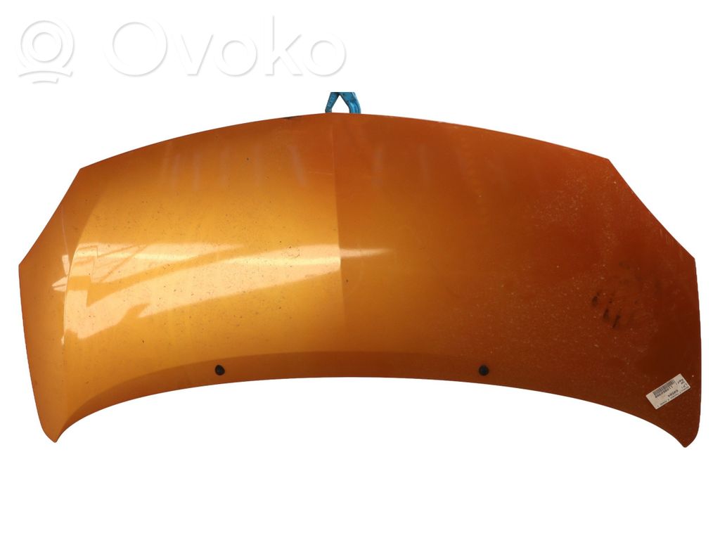 Motorhaube   651003355R