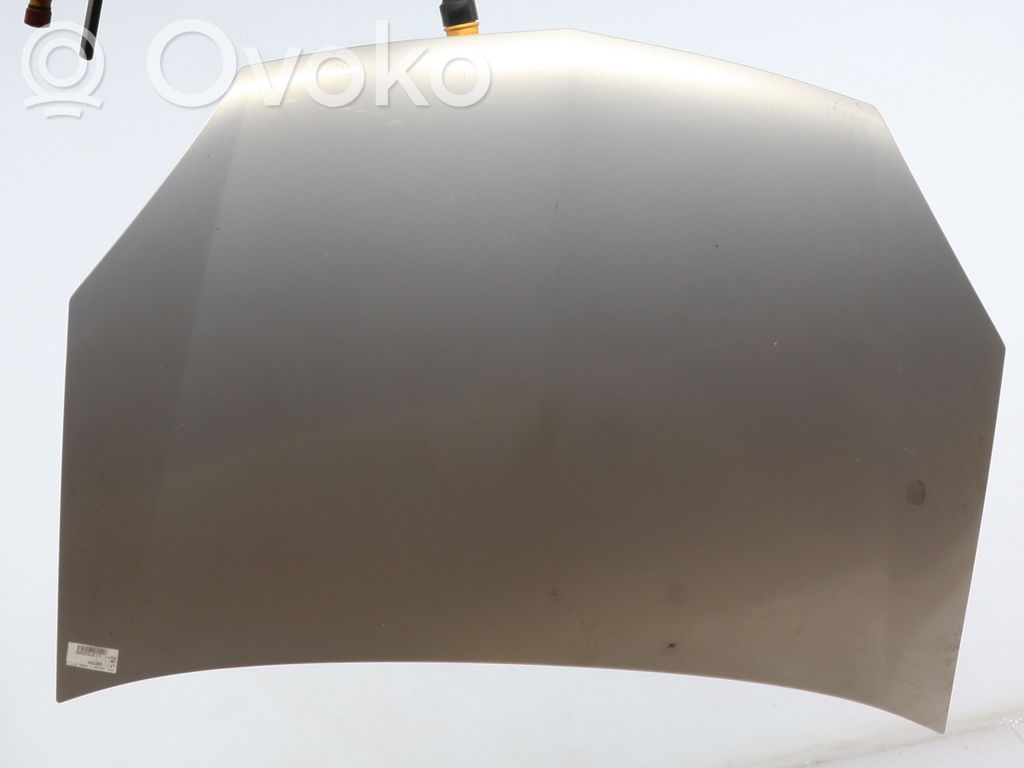 Vano motore/cofano   93189108