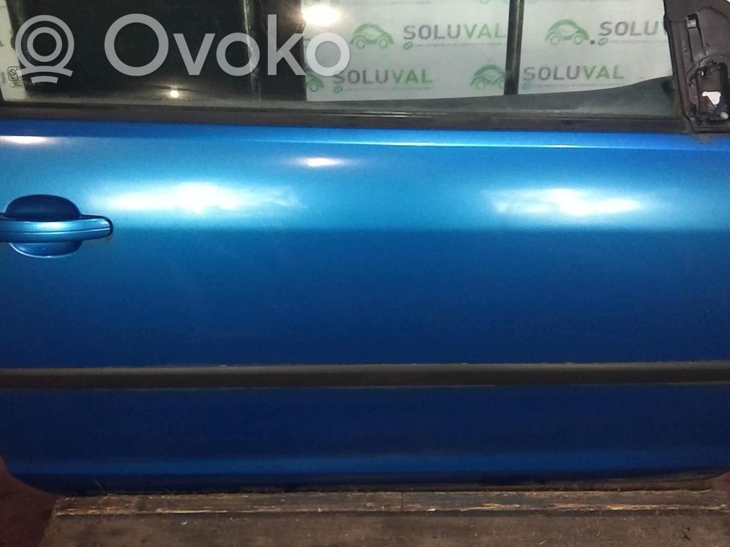 Priekinės durys   1505764
