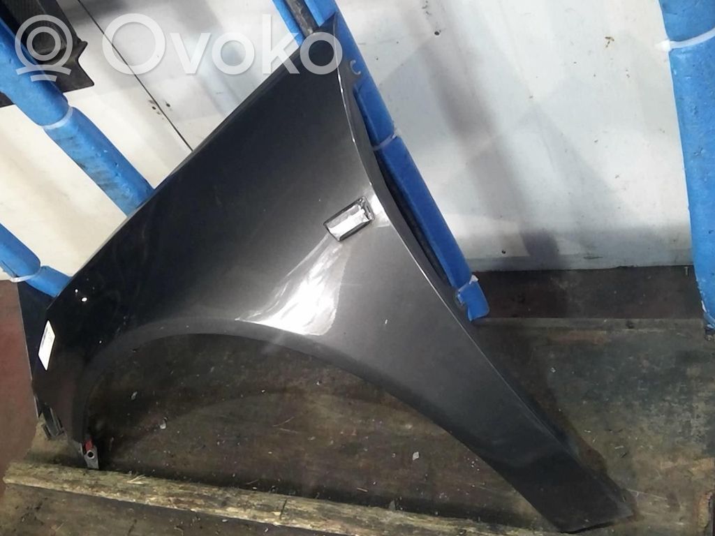 Guardabarro   13277520