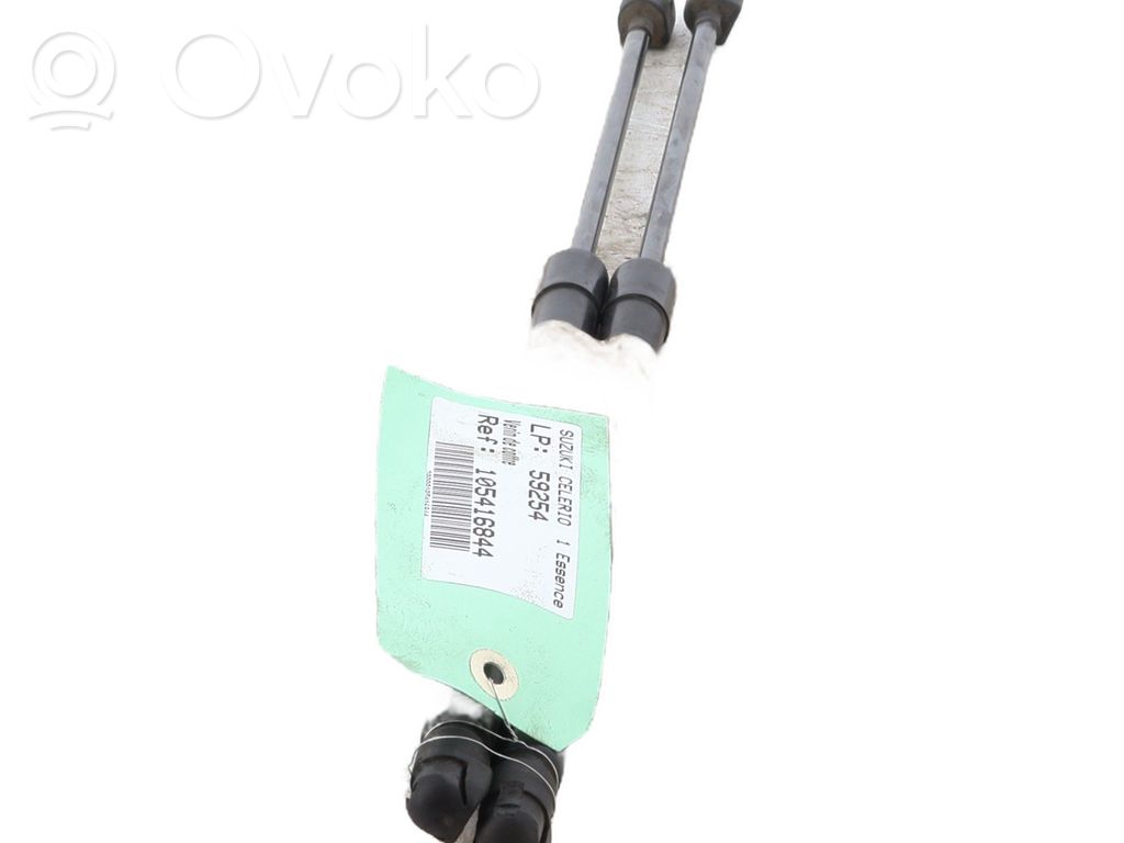 Tailgate/trunk strut/damper   8186084M00