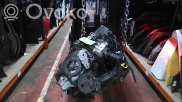 Motor   11000430231
