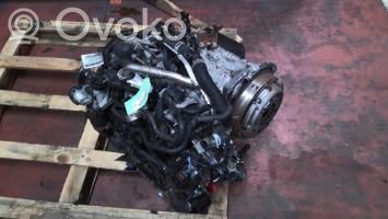 Motor   2016367