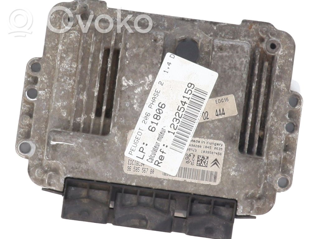Peugeot 206 Engine control unit/module 
