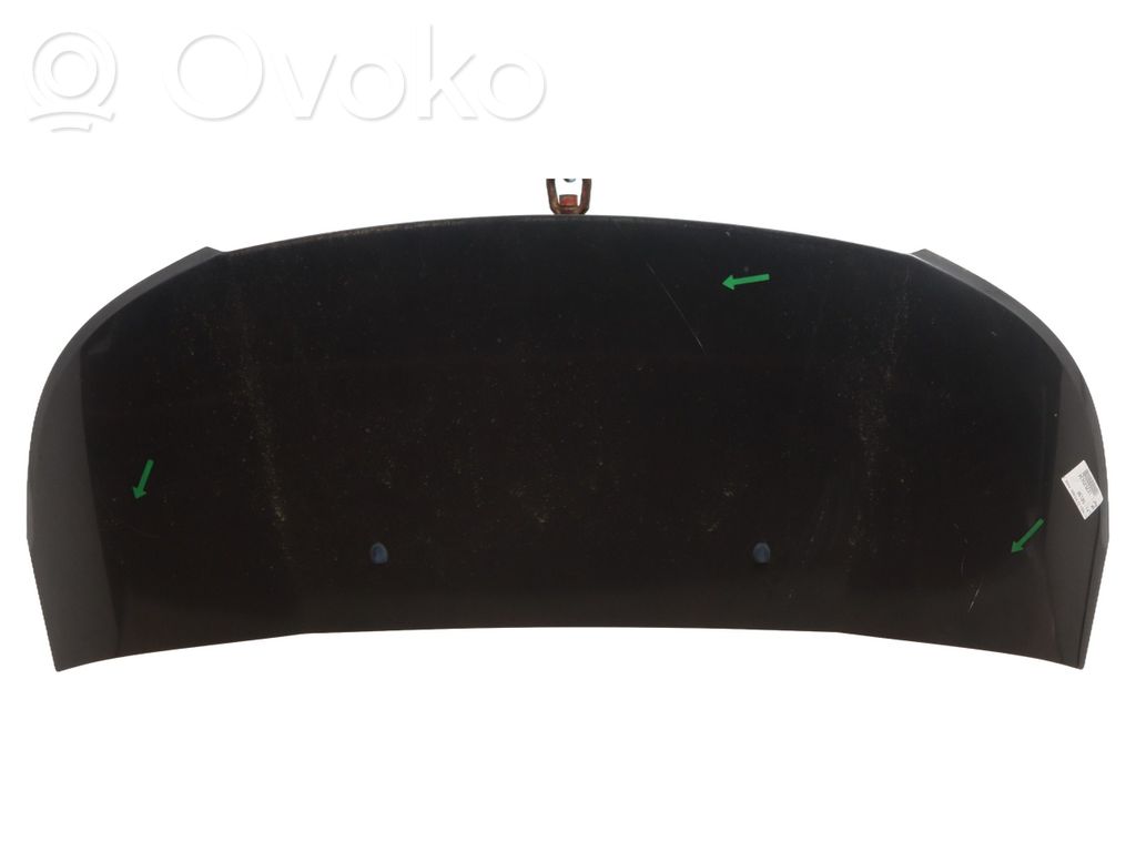 Motorhaube   7901Q7