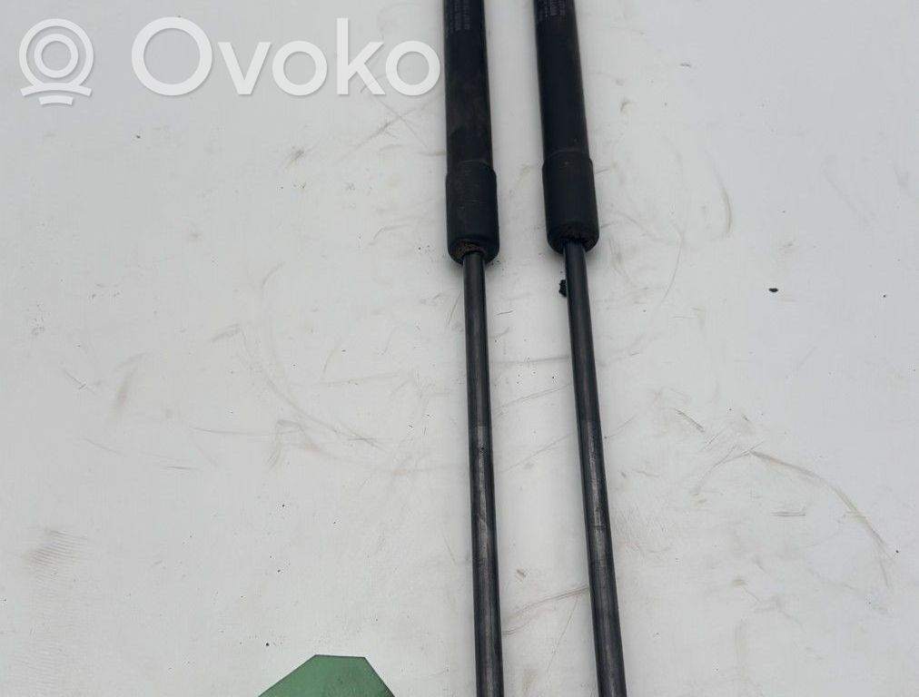 Citroen C4 II Ammortizzatore portellone posteriore/bagagliaio 