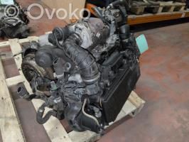Motor   0135PH