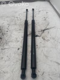 Renault Grand Modus Amortizor hayon 
