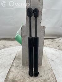 Mini Cooper Roadster R59 Ammortizzatore portellone anteriore/cofano