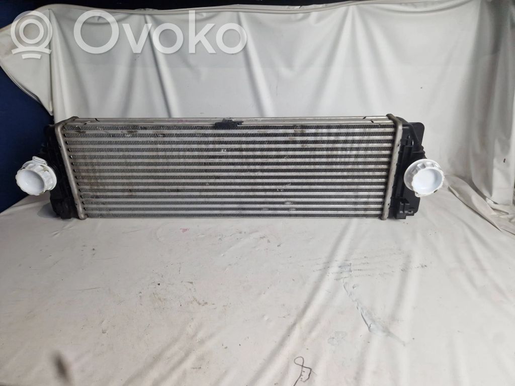 Mercedes-Benz Sprinter W906 Radiatore di raffreddamento 