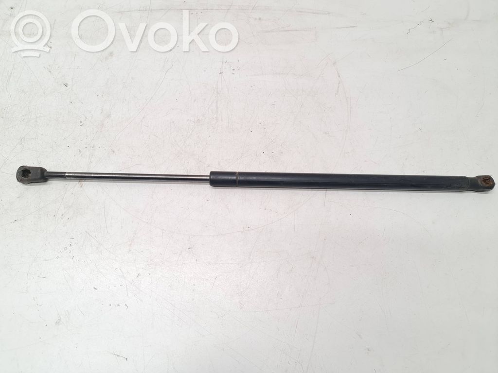 Tailgate/trunk strut/damper