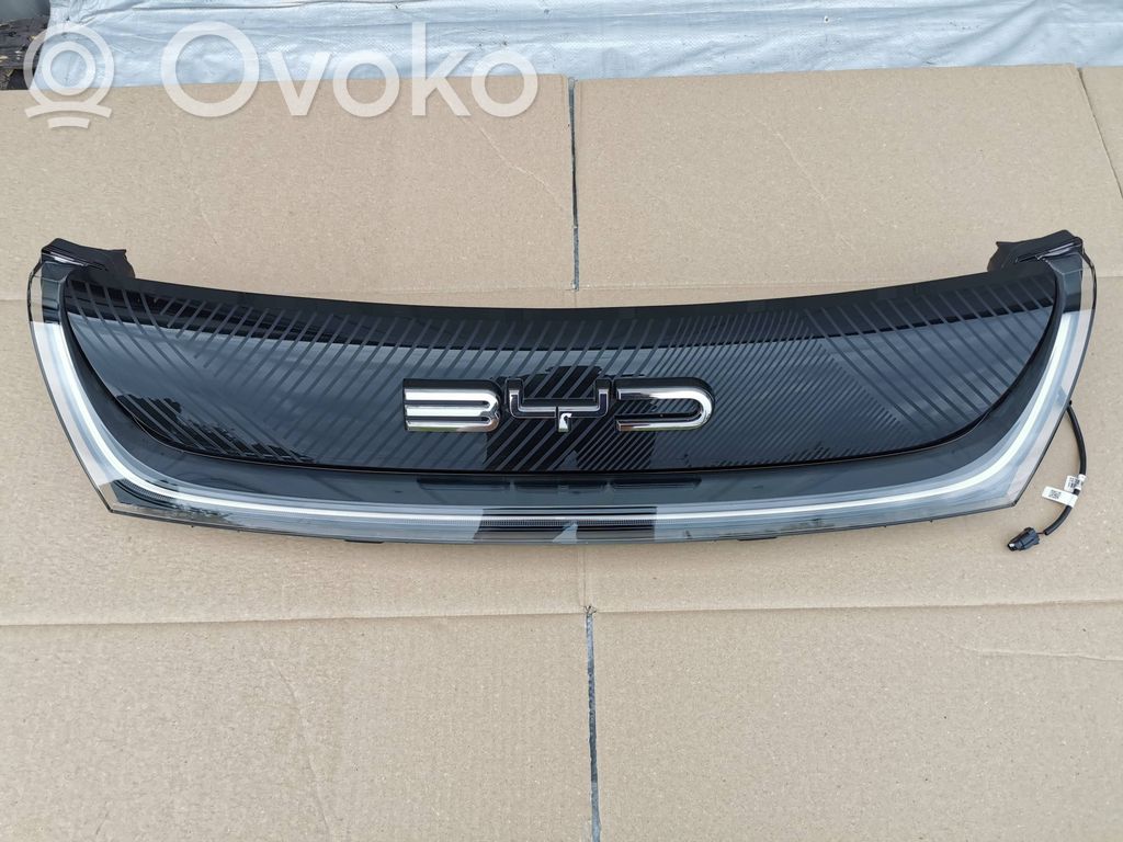 BYD Dolphin Grotelės viršutinės 