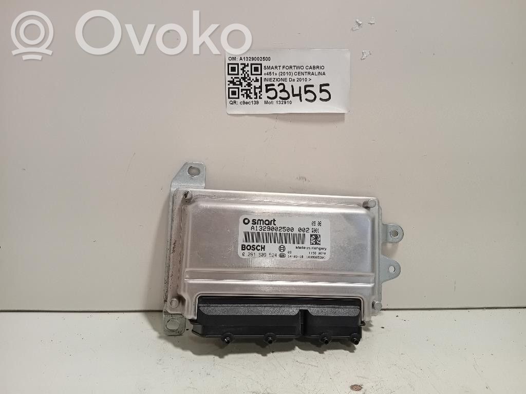 Smart ForTwo II Injection control unit/module 