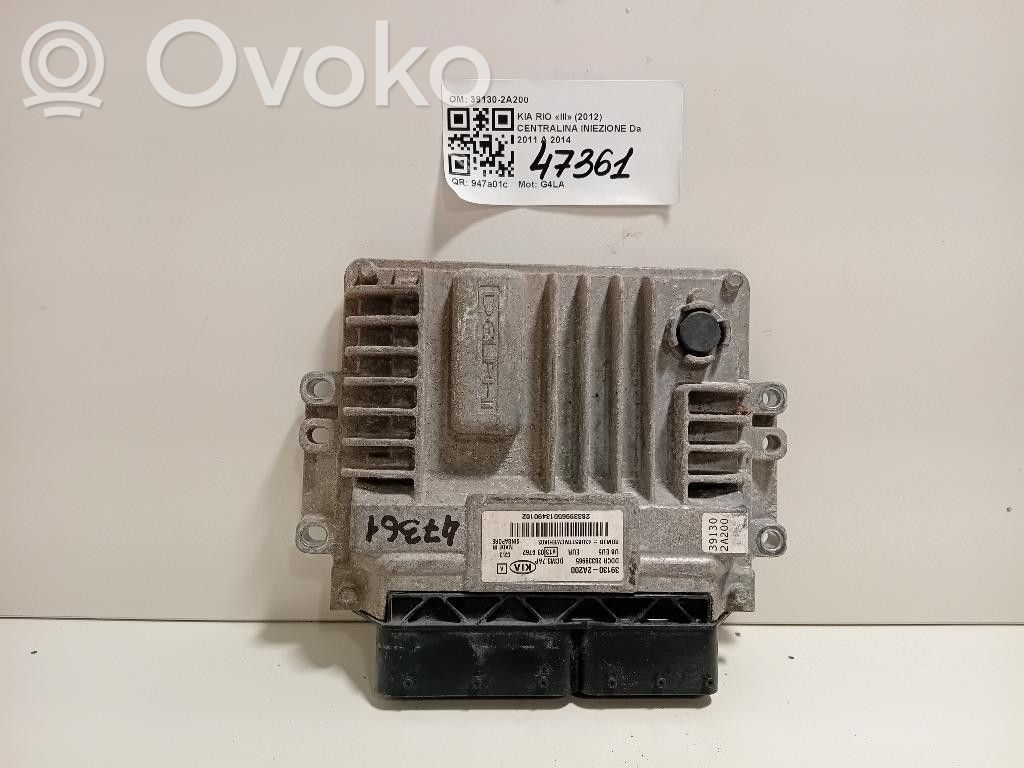 Injection control unit/module   391302A200,391302A200,G4LA