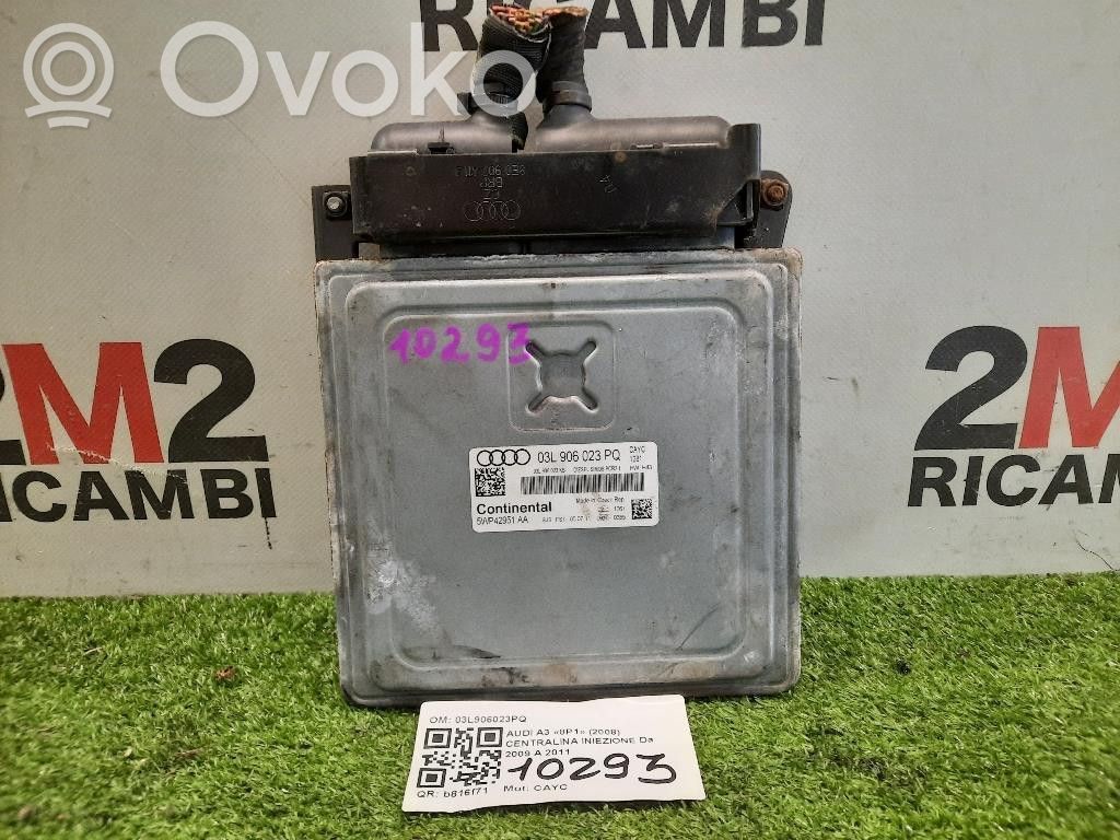 Audi A3 S3 8P Injection control unit/module 