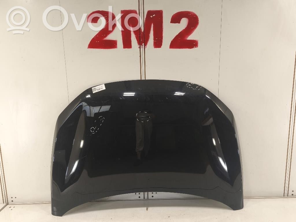 Dacia Sandero Engine bonnet/hood 