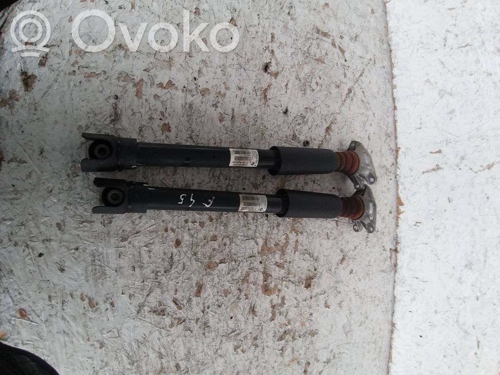 BMW 2 F45 Amortizor spate 