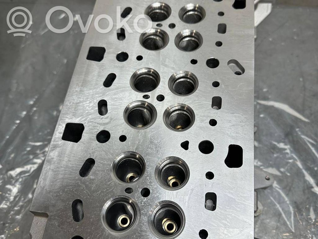 Variklis   110426655R,240710